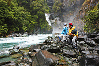 Hollyford Track