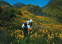 Kaikoura Wilderness Walks