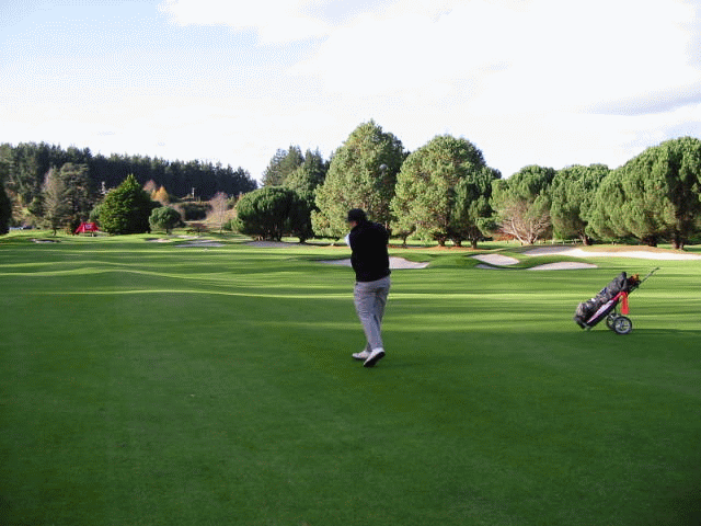 golf New Zealand